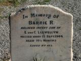 image of grave number 200361